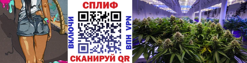 Купить Псилоцибиновые грибы  Конопля  МЕФ  ГАШ  Тетюши
