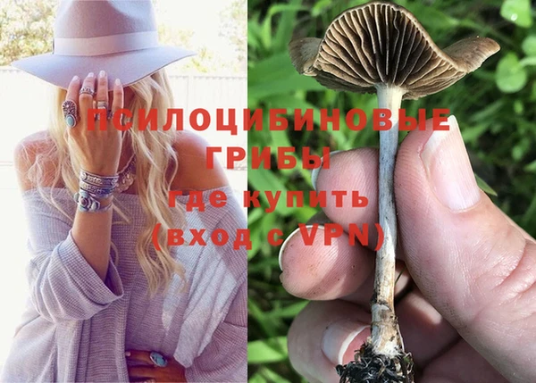 2c-b Волосово