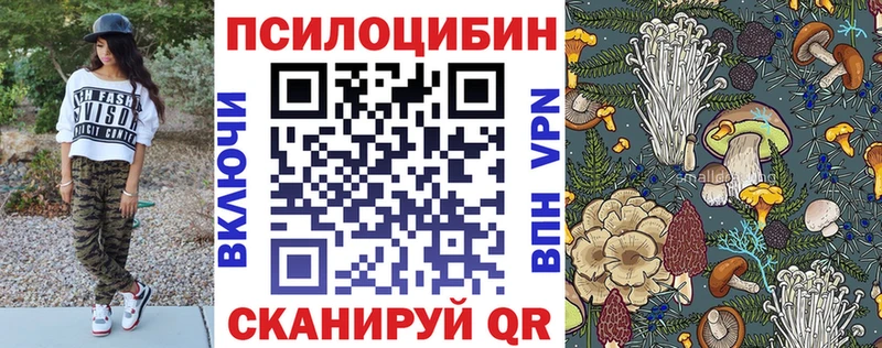 Купить где  Тетюши  Галлюциногенные грибы Cubensis 